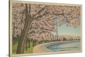 Wash. Monument & Cherry Blossoms-null-Stretched Canvas