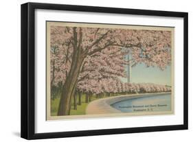 Wash. Monument & Cherry Blossoms-null-Framed Art Print
