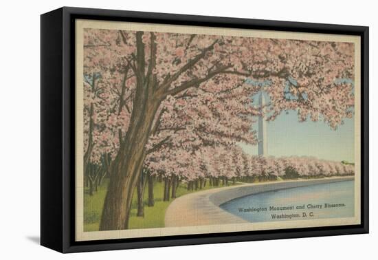 Wash. Monument & Cherry Blossoms-null-Framed Stretched Canvas