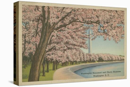 Wash. Monument & Cherry Blossoms-null-Stretched Canvas