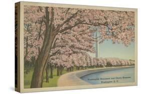 Wash. Monument & Cherry Blossoms-null-Stretched Canvas