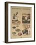 Wash Vegetables and Cook Food Thoroughly-null-Framed Art Print