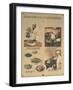 Wash Vegetables and Cook Food Thoroughly-null-Framed Art Print