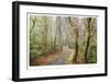 Washburne State Park I-Donald Paulson-Framed Giclee Print