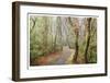 Washburne State Park I-Donald Paulson-Framed Giclee Print