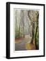 Washburne State Park II-Donald Paulson-Framed Giclee Print