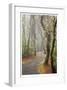 Washburne State Park II-Donald Paulson-Framed Giclee Print