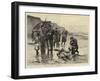 Washed Ashore, a Scene on the French Coast-Charles Stanley Reinhart-Framed Giclee Print