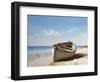 Washed Ashore-Zhen-Huan Lu-Framed Art Print