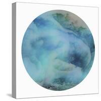 Washed Ashore-PI Studio-Stretched Canvas