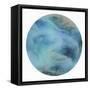 Washed Ashore-PI Studio-Framed Stretched Canvas