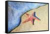 Washed on Shore-Denise Brown-Framed Stretched Canvas