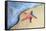 Washed on Shore-Denise Brown-Framed Stretched Canvas