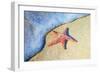 Washed on Shore-Denise Brown-Framed Premium Giclee Print