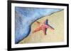 Washed on Shore-Denise Brown-Framed Art Print