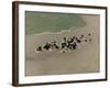 Washerwomen, 1899-F?lix Vallotton-Framed Giclee Print