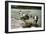 Washerwomen, Charges River, Panama, Early 20th Century-null-Framed Giclee Print