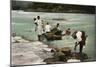 Washerwomen, Charges River, Panama, Early 20th Century-null-Mounted Giclee Print