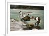 Washerwomen, Charges River, Panama, Early 20th Century-null-Framed Giclee Print