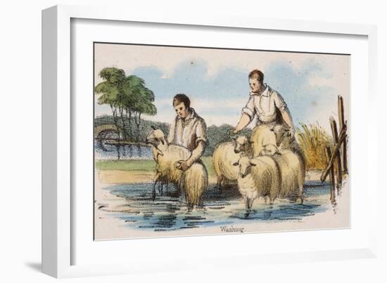 Washing, C1845-Benjamin Waterhouse Hawkins-Framed Giclee Print