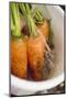 Washing Carrots in a Bucket-Foodcollection-Mounted Photographic Print