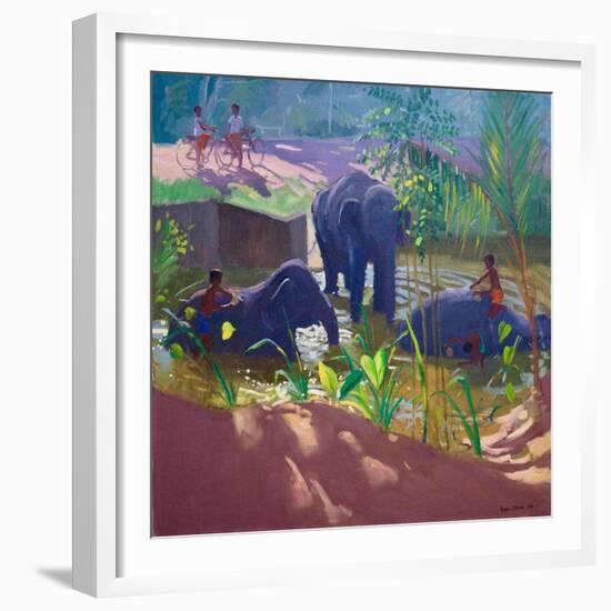 Washing Elephants, Sri Lanka, 1995-Andrew Macara-Framed Giclee Print