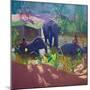 Washing Elephants, Sri Lanka, 1995-Andrew Macara-Mounted Giclee Print