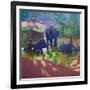 Washing Elephants, Sri Lanka, 1995-Andrew Macara-Framed Giclee Print