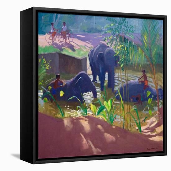 Washing Elephants, Sri Lanka, 1995-Andrew Macara-Framed Stretched Canvas