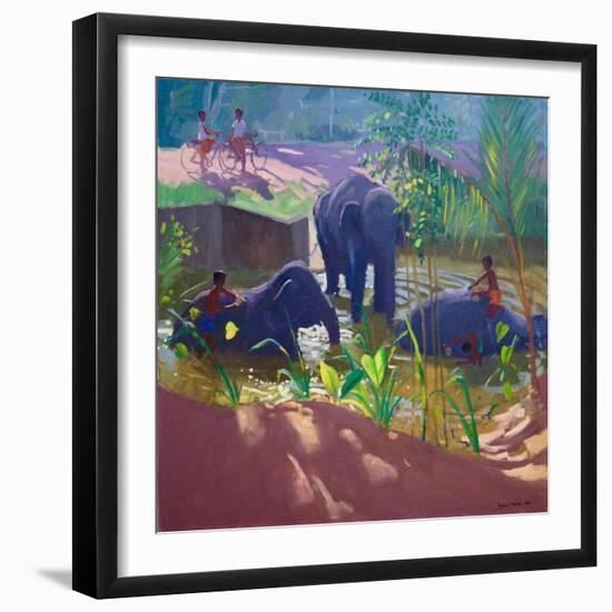 Washing Elephants, Sri Lanka, 1995-Andrew Macara-Framed Giclee Print