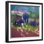 Washing Elephants, Sri Lanka, 1995-Andrew Macara-Framed Giclee Print