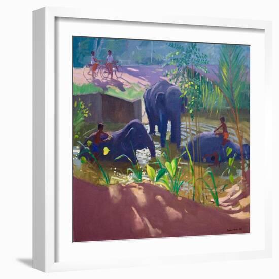 Washing Elephants, Sri Lanka, 1995-Andrew Macara-Framed Giclee Print