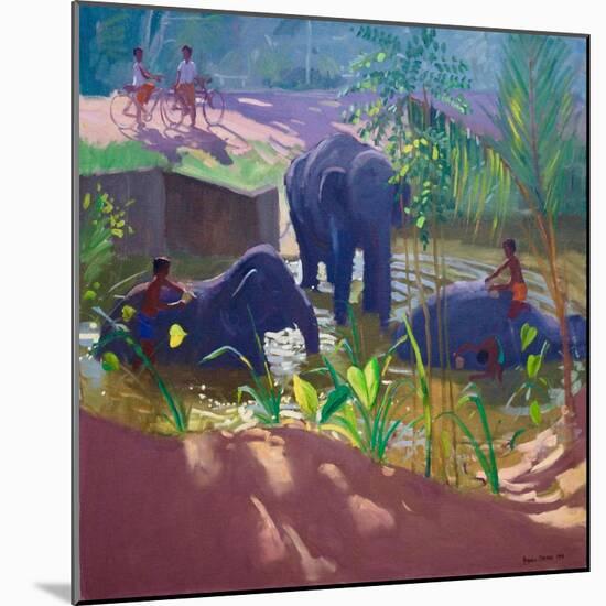 Washing Elephants, Sri Lanka, 1995-Andrew Macara-Mounted Giclee Print