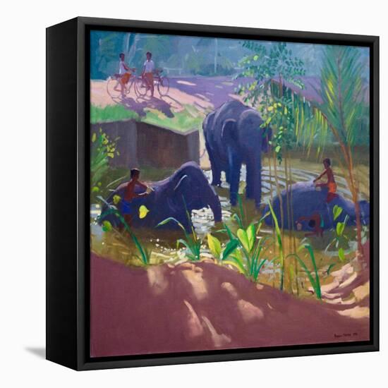 Washing Elephants, Sri Lanka, 1995-Andrew Macara-Framed Stretched Canvas