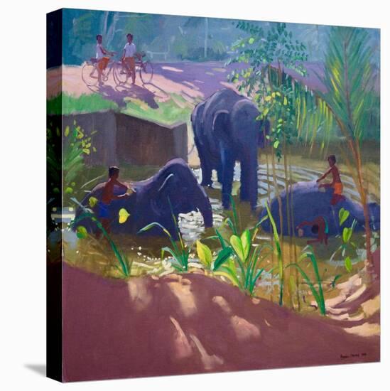 Washing Elephants, Sri Lanka, 1995-Andrew Macara-Stretched Canvas