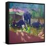 Washing Elephants, Sri Lanka, 1995-Andrew Macara-Framed Stretched Canvas