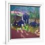 Washing Elephants, Sri Lanka, 1995-Andrew Macara-Framed Giclee Print