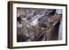 Washing Glasses at Diner-William P. Gottlieb-Framed Photographic Print