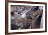 Washing Glasses at Diner-William P. Gottlieb-Framed Photographic Print