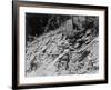 Washing Gold-null-Framed Photographic Print