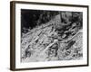 Washing Gold-null-Framed Photographic Print