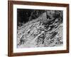Washing Gold-null-Framed Photographic Print