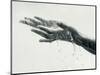 Washing Hands-Cristina-Mounted Photographic Print