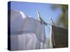 Washing Hanging on the Line-Roland Krieg-Stretched Canvas