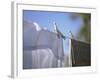 Washing Hanging on the Line-Roland Krieg-Framed Photographic Print