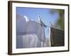 Washing Hanging on the Line-Roland Krieg-Framed Photographic Print