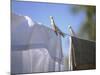 Washing Hanging on the Line-Roland Krieg-Mounted Photographic Print