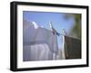 Washing Hanging on the Line-Roland Krieg-Framed Photographic Print