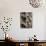 Washing on Balcony, Via Della Stella, Naples, Campania, Italy, Europe-Richard Cummins-Photographic Print displayed on a wall