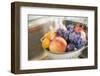Washing Plums, Peaches and Apricots-Eising Studio - Food Photo and Video-Framed Photographic Print